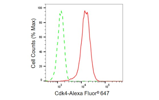 CDK4 Antibody (23GB750)