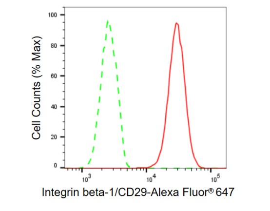 Integrin beta 1/CD29 Antibody (23GB885)
