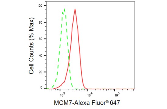 MCM7 Antibody (23GB930)