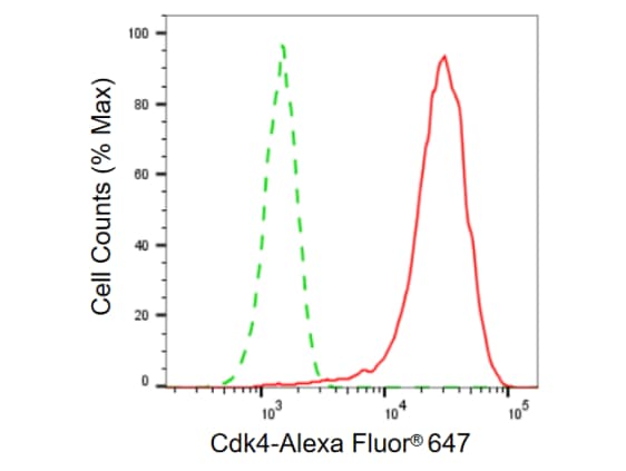 CDK4 Antibody (23GB745)