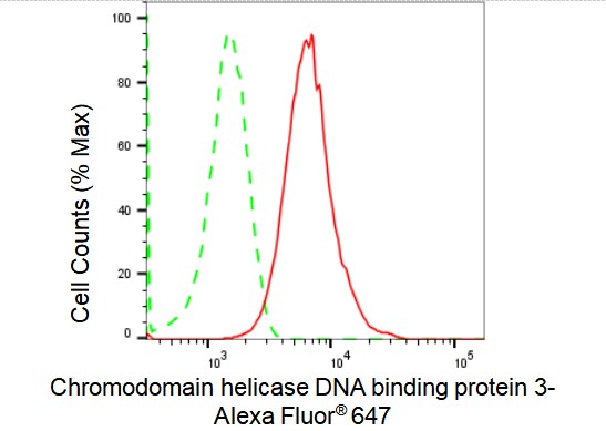 CHD3 Antibody (23GB1380)