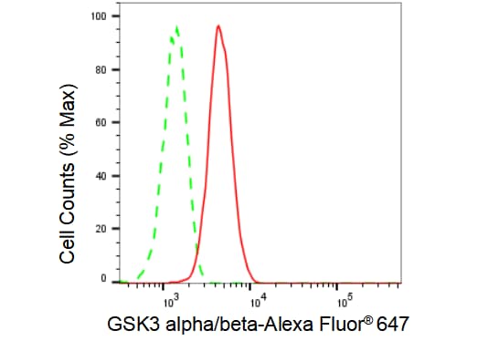 GSK-3 alpha/beta Antibody (23GB1100)