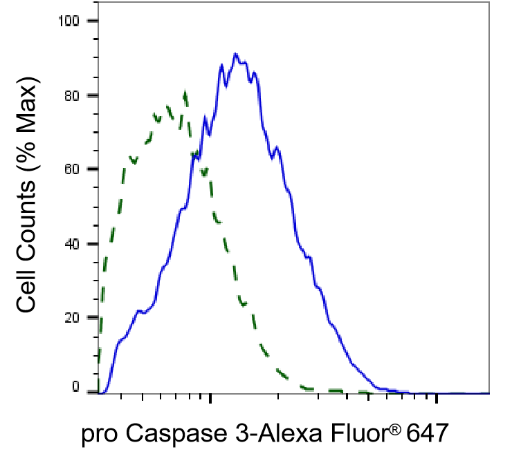 Caspase-3 Antibody (23GB715)