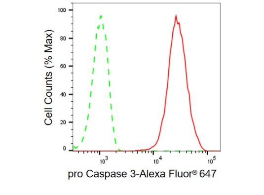 Caspase-3 Antibody (23GB715)