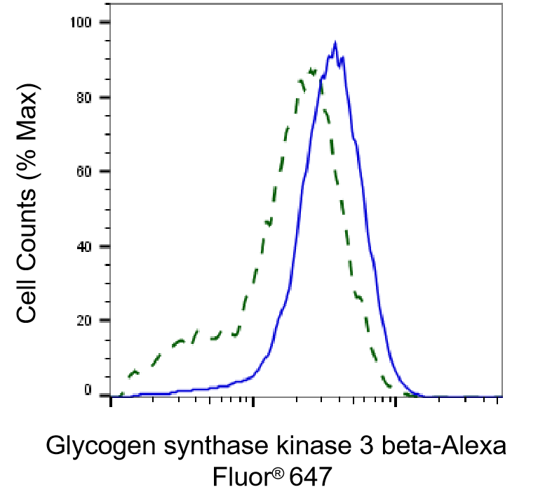 GSK-3 beta Antibody (23GB1250)