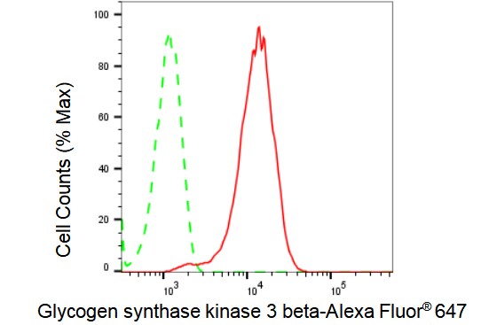 GSK-3 beta Antibody (23GB1250)