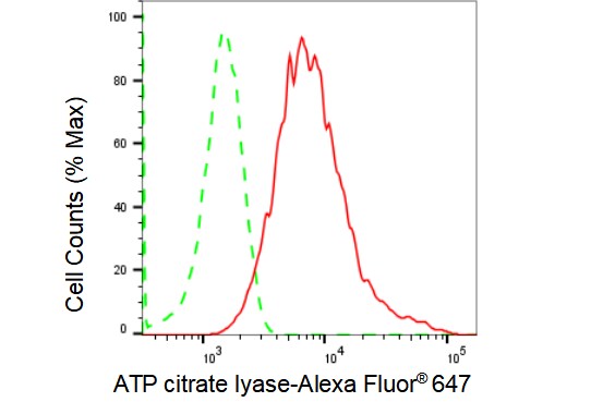 ATP Citrate Lyase Antibody (23GB1620)