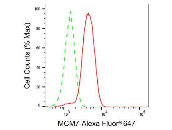 MCM7 Antibody (23GB925)