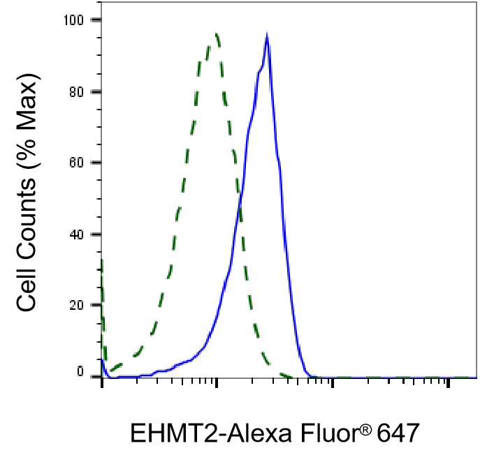 G9a/EHMT2 Antibody (23GB825)