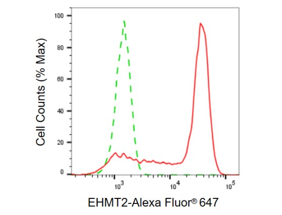 G9a/EHMT2 Antibody (23GB825)
