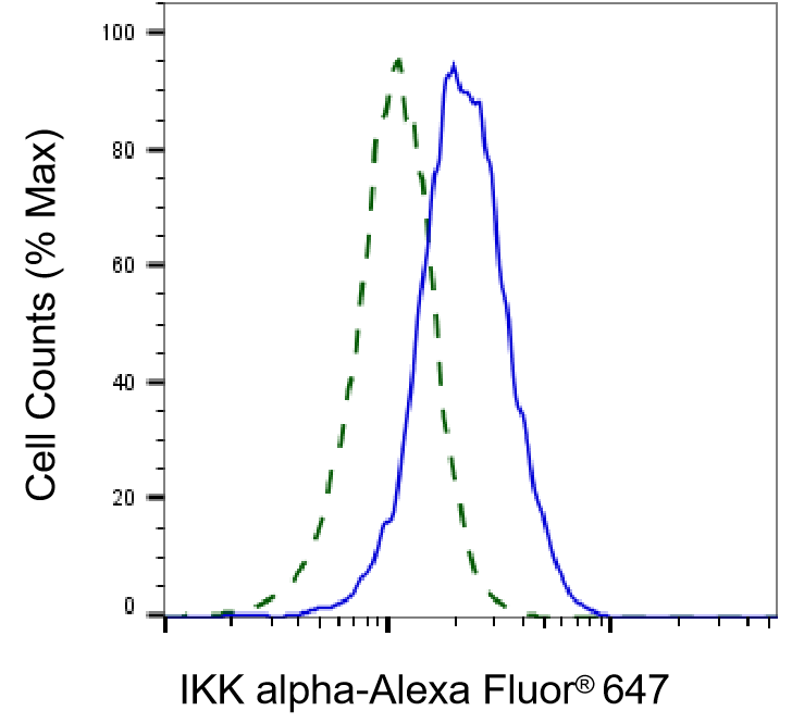 IKK alpha Antibody (23GB1065)
