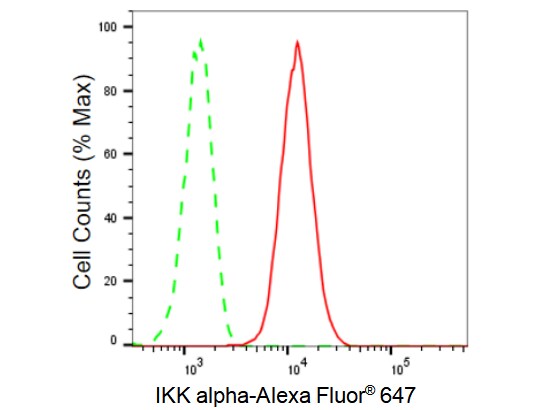IKK alpha Antibody (23GB1065)