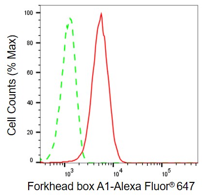 HNF-3 alpha/FoxA1 Antibody (23GB1170)