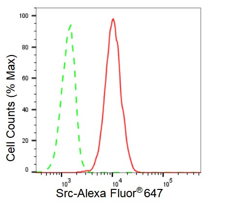 Src Antibody (23GB1110)
