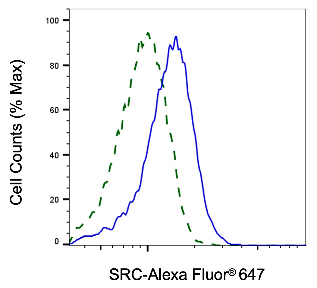 Src Antibody (23GB1110)