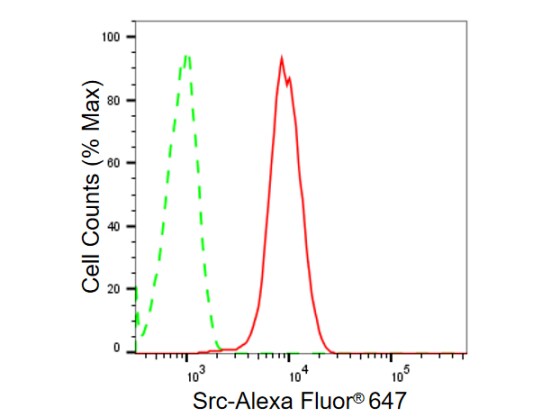 Src Antibody (23GB985)