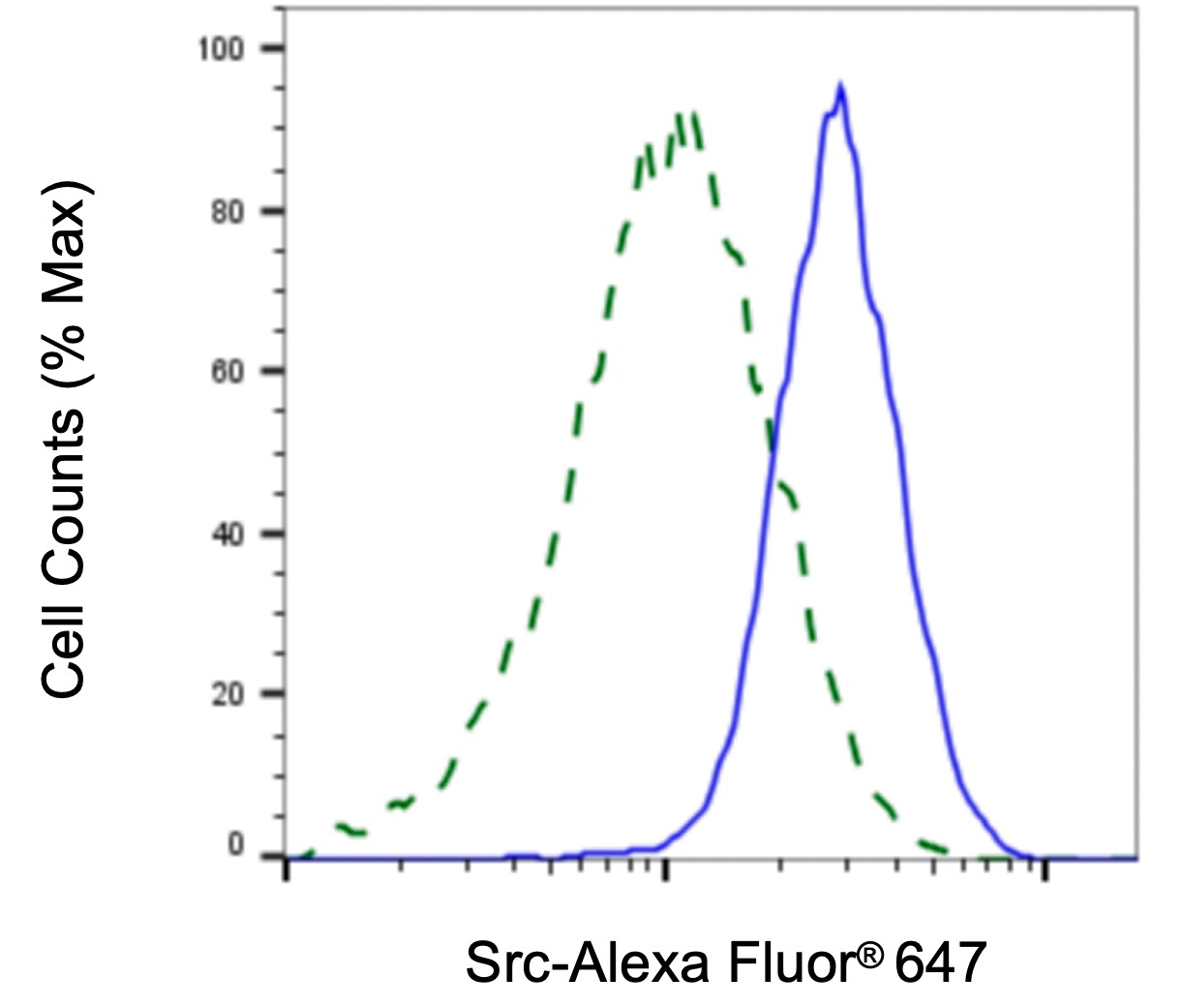 Src Antibody (23GB985)