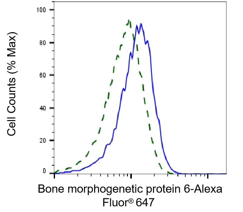 BMP-6 Antibody (23GB3705)