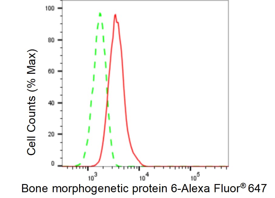 BMP-6 Antibody (23GB3705)