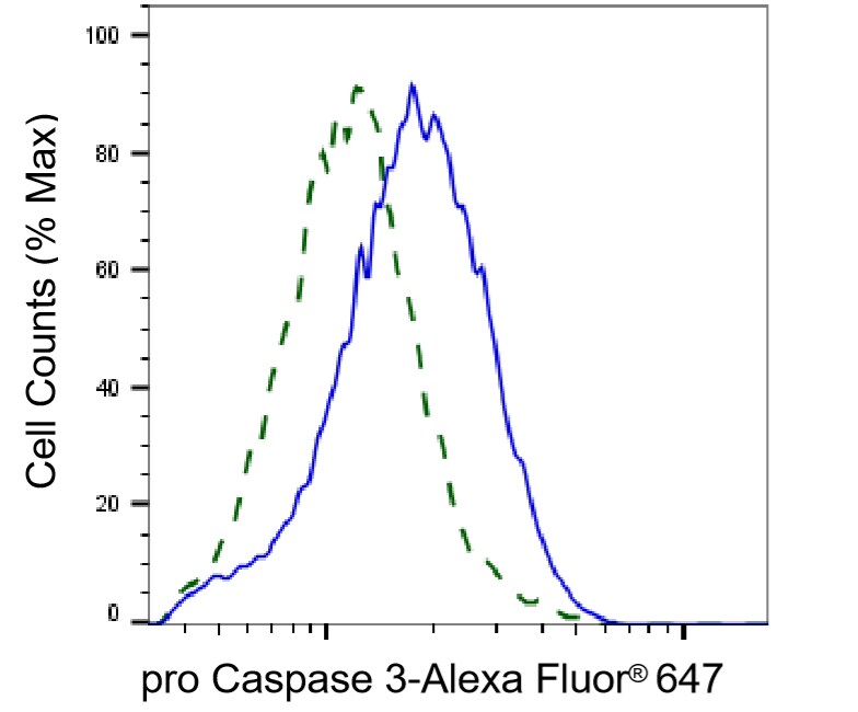 Caspase-3 Antibody (23GB710)