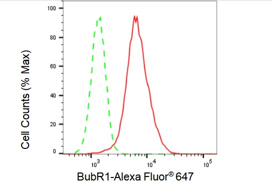 BubR1 Antibody (23GB1640)