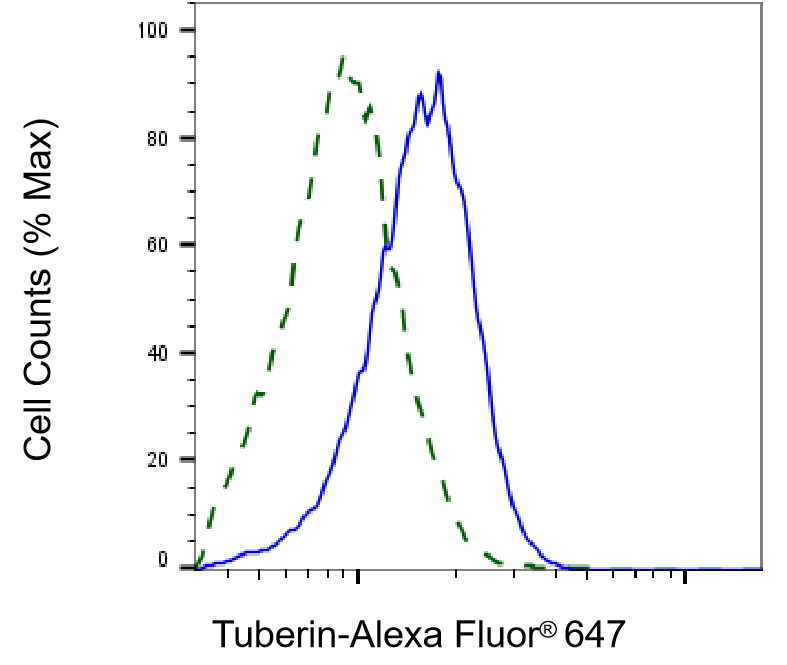 TSC2 Antibody (23GB1120)