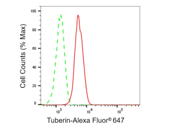 TSC2 Antibody (23GB1120)