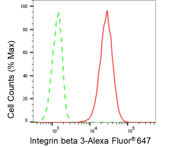 Integrin beta 3/CD61 Antibody (23GB900)