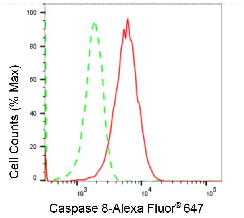 Caspase-8 Antibody (23GB1665)