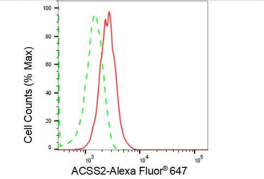 Acetyl CoA synthetase Antibody (23GB1705)