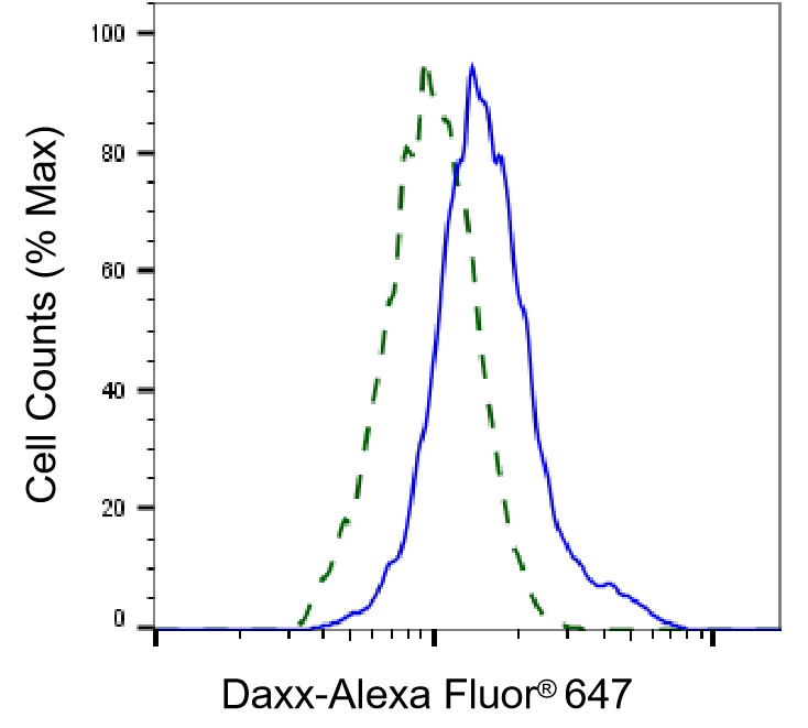 Daxx Antibody (23GB795)
