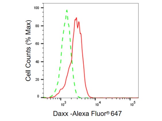Daxx Antibody (23GB795)