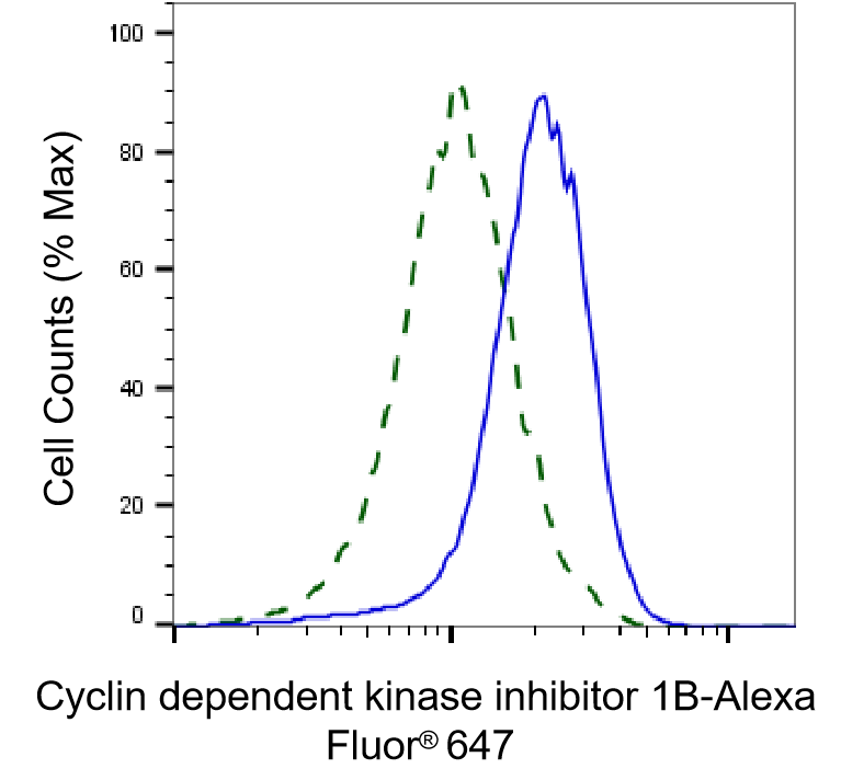 p27/Kip1 Antibody (23GB1825)