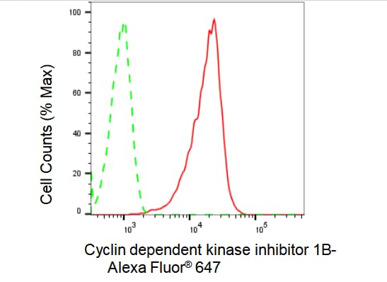 p27/Kip1 Antibody (23GB1825)
