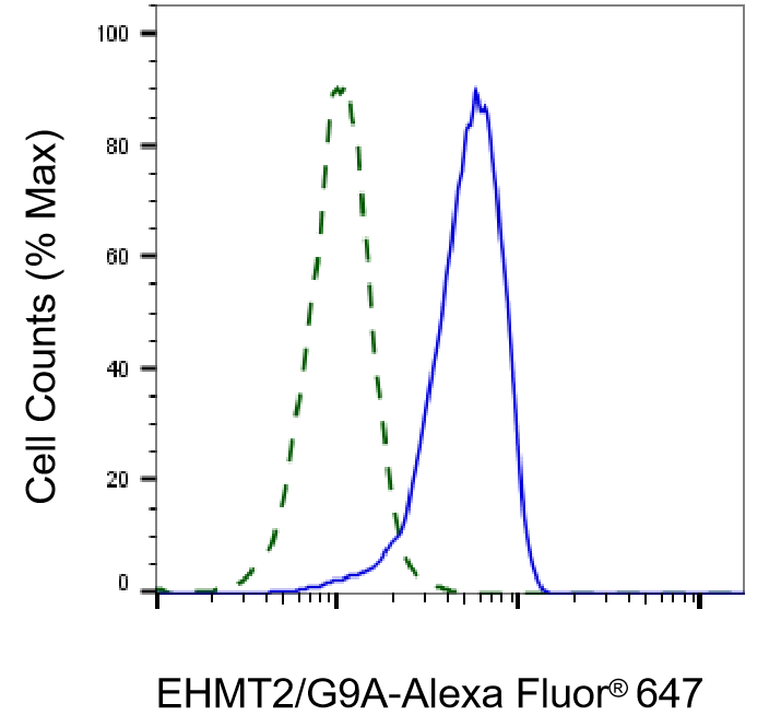G9a/EHMT2 Antibody (23GB820)