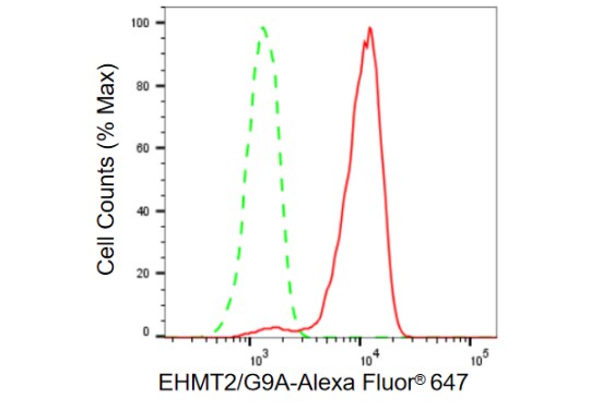 G9a/EHMT2 Antibody (23GB820)