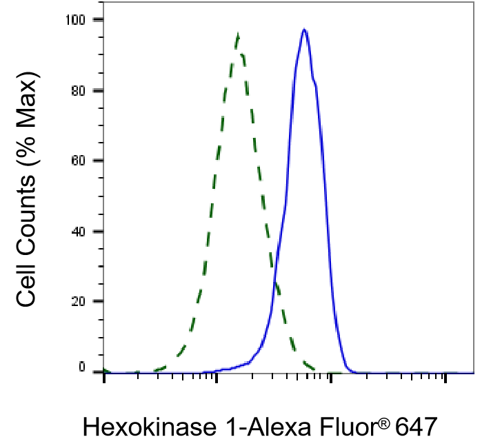 Hexokinase 1 Antibody (23GB870)