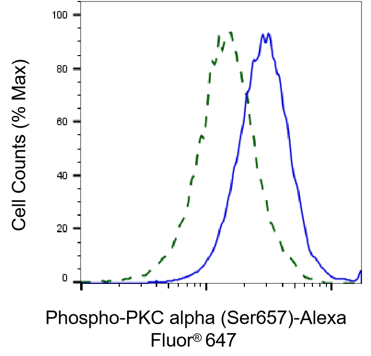PKC alpha [p Ser657] Antibody (23GB1055)