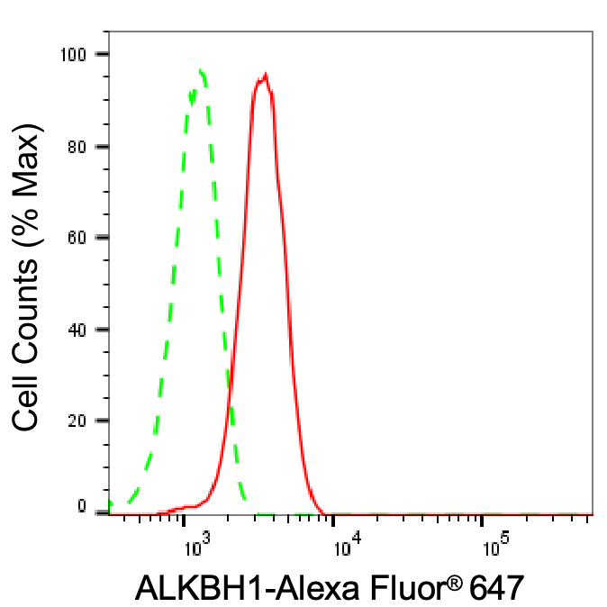 PKC alpha [p Ser657] Antibody (23GB1055)
