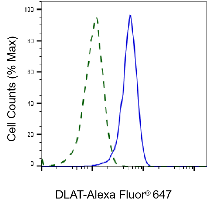 Pyruvate Dehydrogenase E2 Antibody (23GB805)