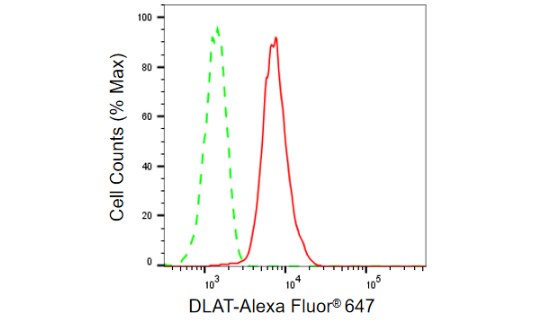 Pyruvate Dehydrogenase E2 Antibody (23GB805)