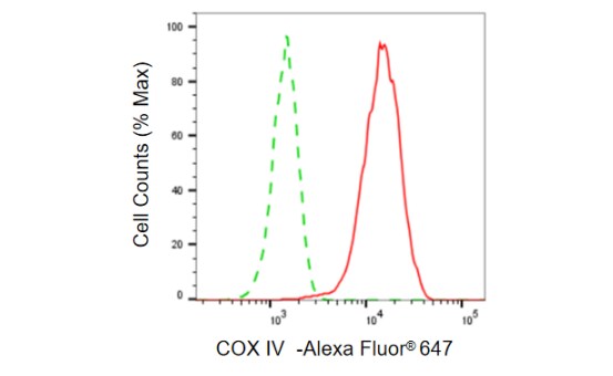 COX4 Antibody (23GB775)