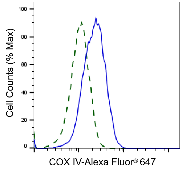 COX4 Antibody (23GB775)