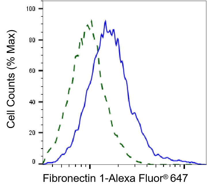 Fibronectin Antibody (23GB1270)