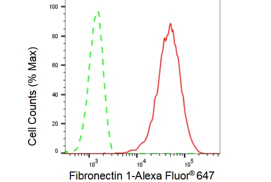 Fibronectin Antibody (23GB1270)