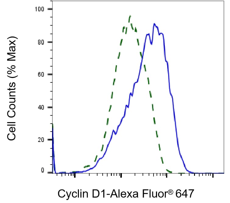 Cyclin D1 Antibody (23GB735)