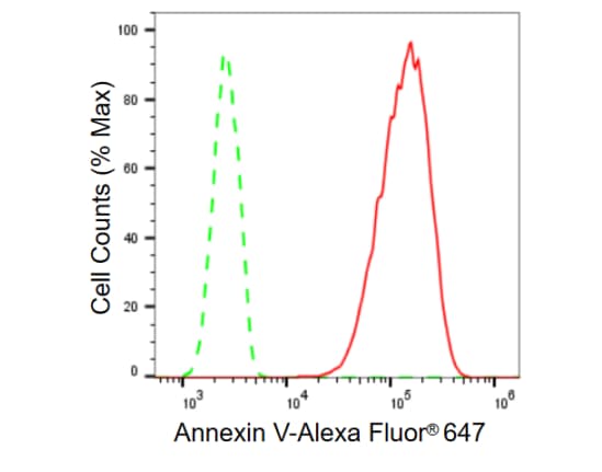 Annexin V Antibody (23GB650)