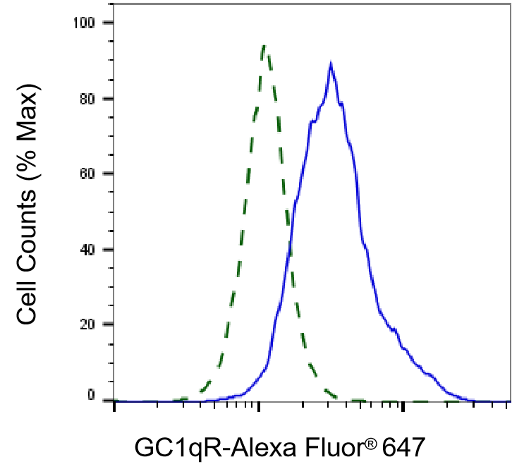 HABP1/C1QBP/GC1q R Antibody (23GB695)