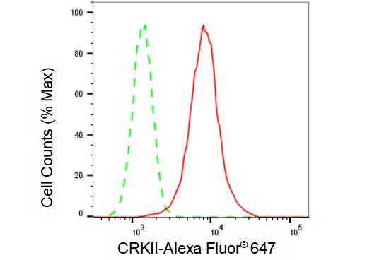 Crk Antibody (23GB1405)