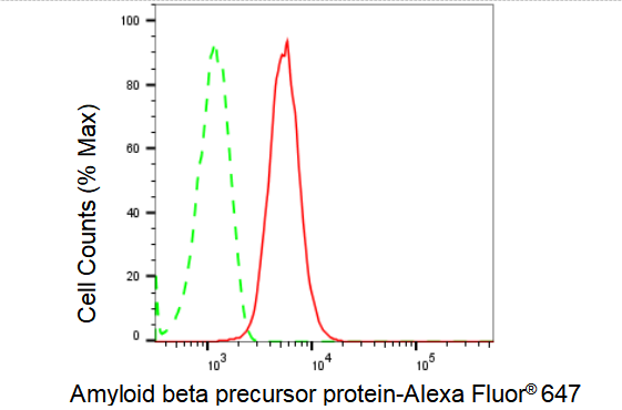 APP Antibody (23GB1535)